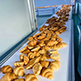 Croissant Production Line (6000-10000 Croissants/Hour)